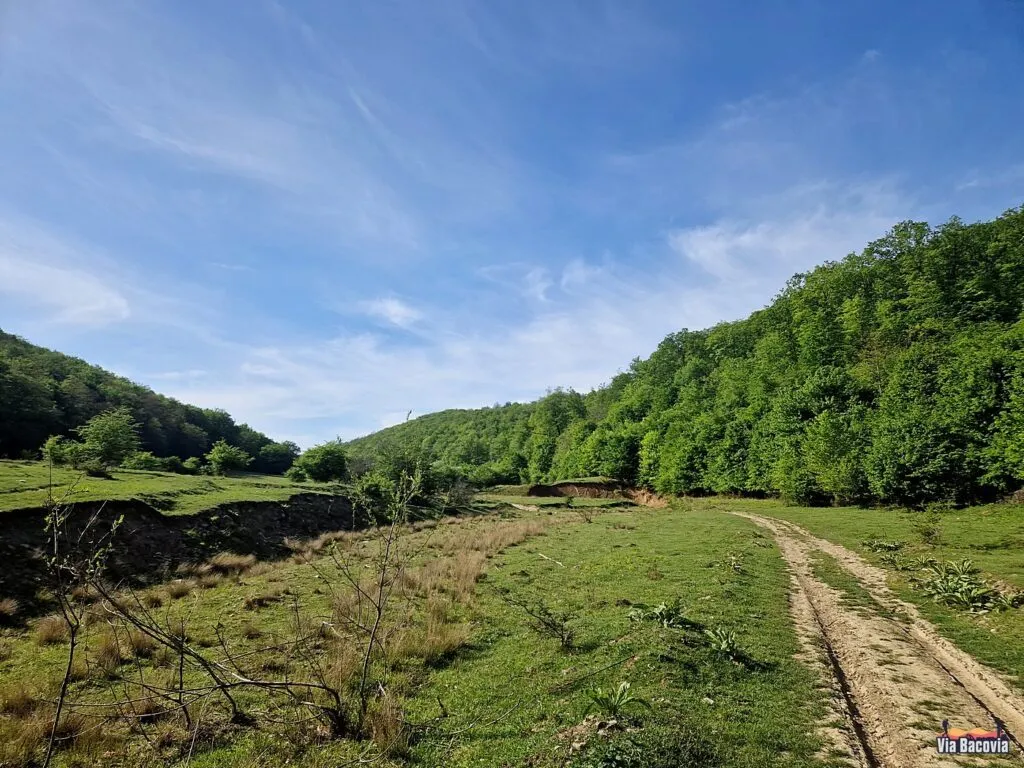 Traseu prin natură pentru tururi cu bicicleta